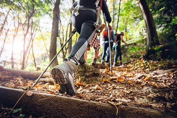 Soames Hill Park Hike