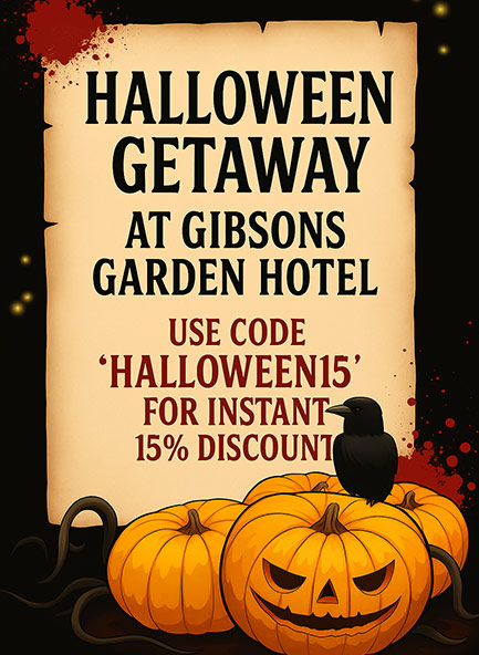 Special Offers & Packages 