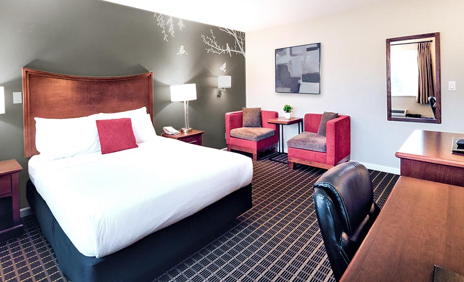 Standard Queen Room (1)