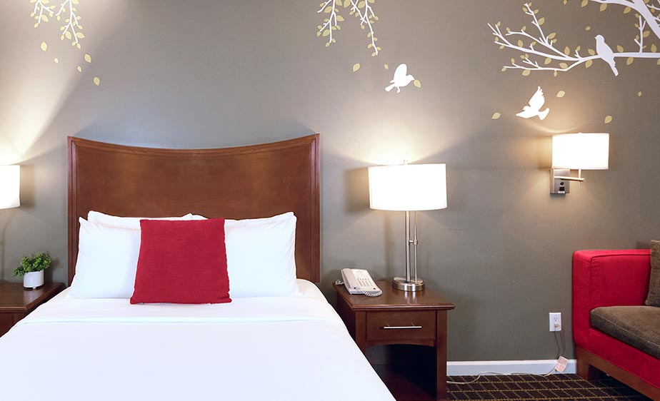 Standard Queen Room (2)